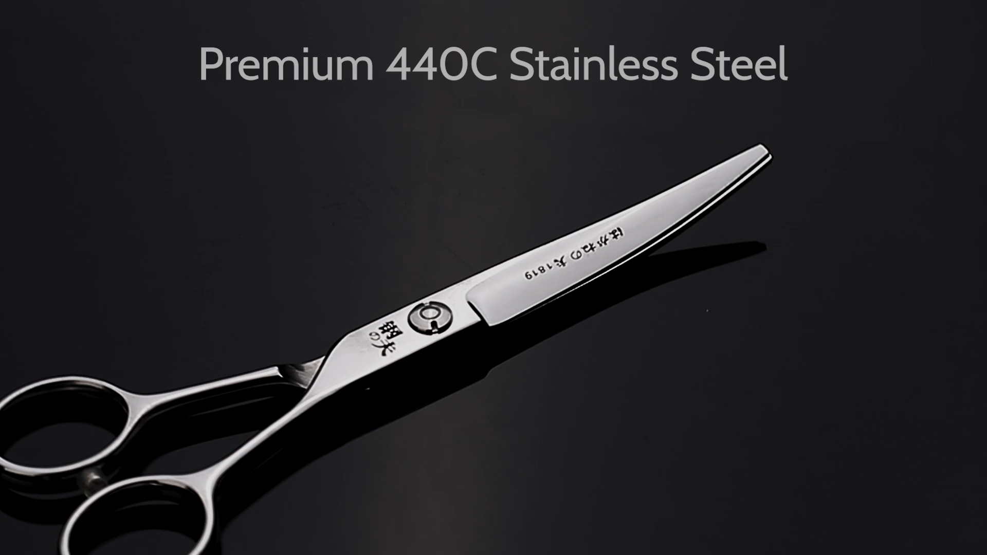 Amazon.com : Hair Cutting Scissors Professional Sharp Thinning