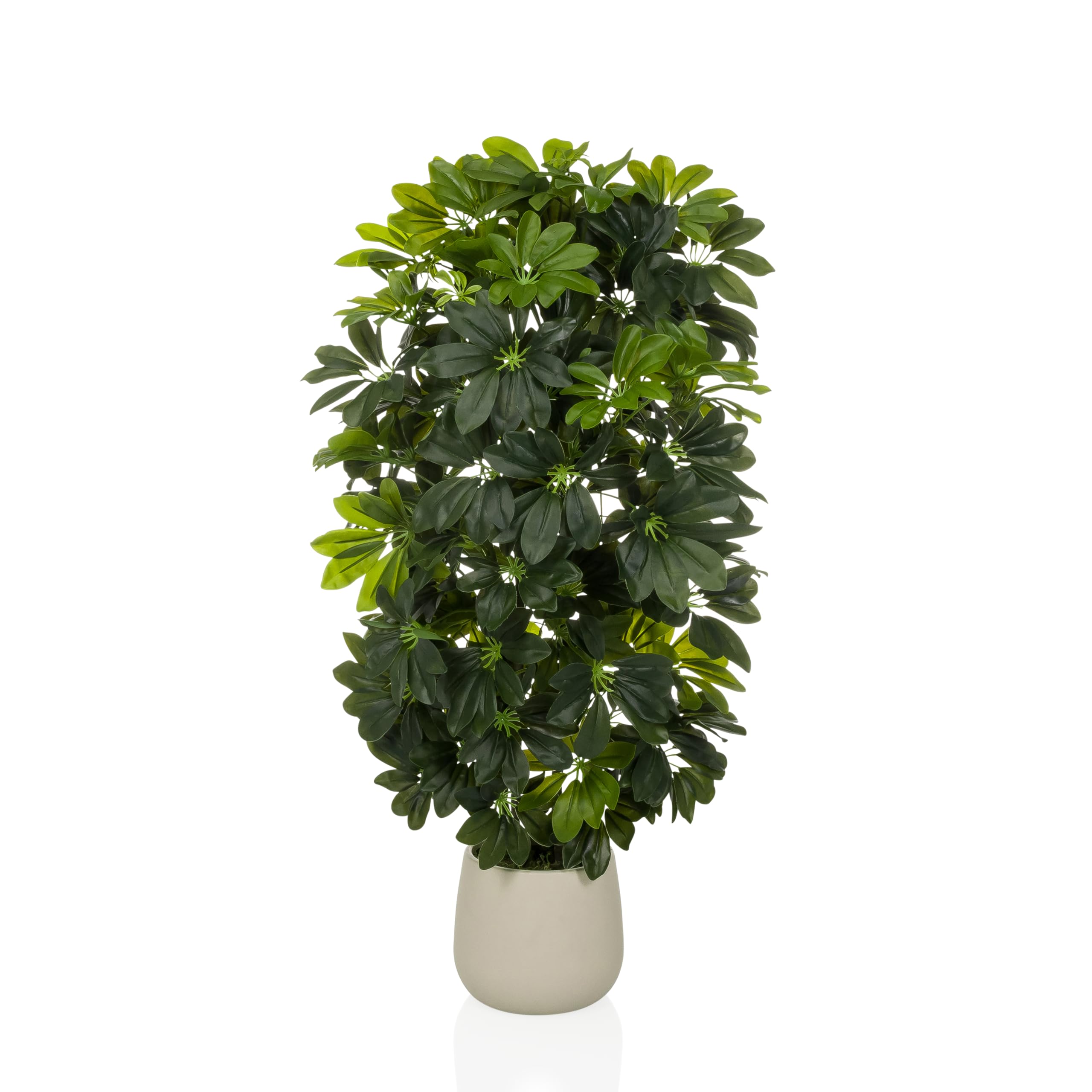 hjh OFFICE - Pianta artificiale Schefflera 2 – Imitazione sempreverde ca. 110 cm | Täuschend echt, miscela di plastica di alta qualità, facile da mantenere e inodore