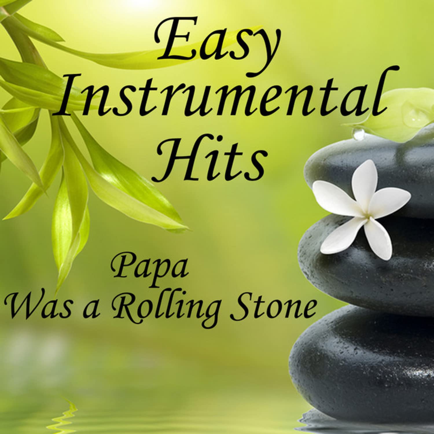 Instrumental Music Group