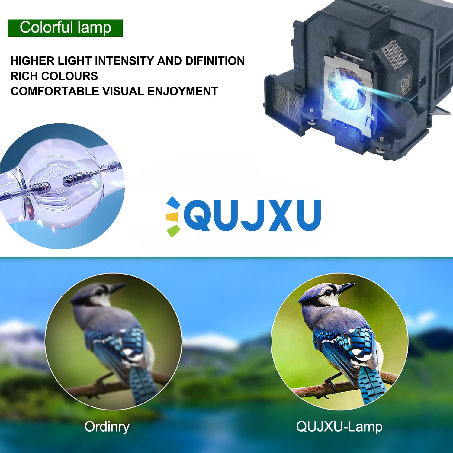 Ampoule Projecteur EP92 Avec Boîtier - Compatible Elplp92, EB-696Ui, EB-1440Ui, EB-1450Ui, EB-1460Ui, Etc.