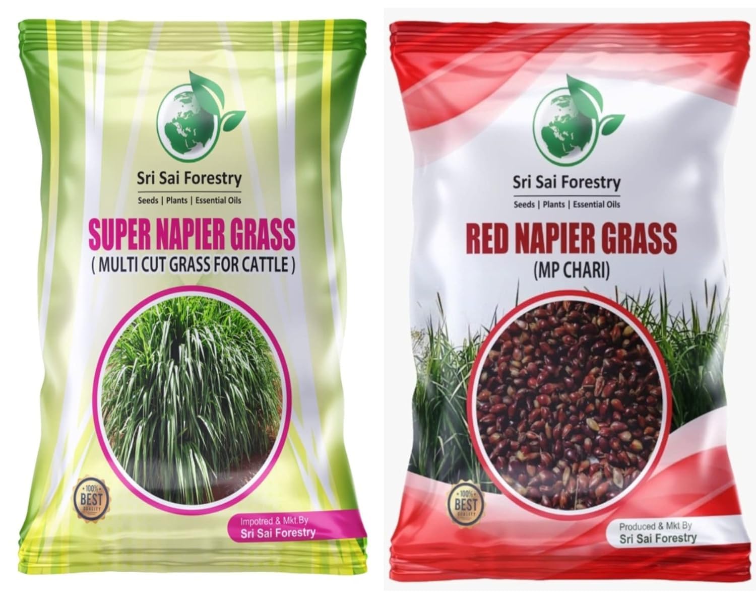Super Napier Grass Seeds - High Yield for Cattle & Goats -3