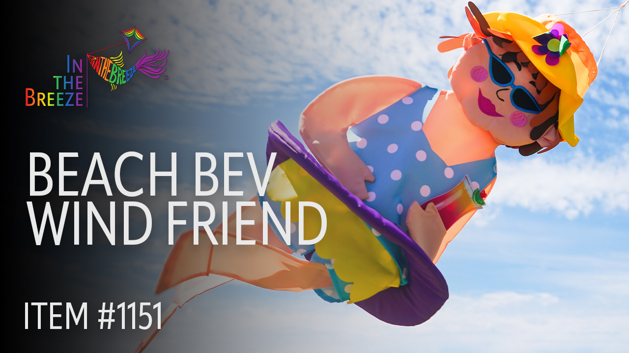 Amazon.com: In The Breeze 1151 Beach BEV 3D Wind Friend Windsock