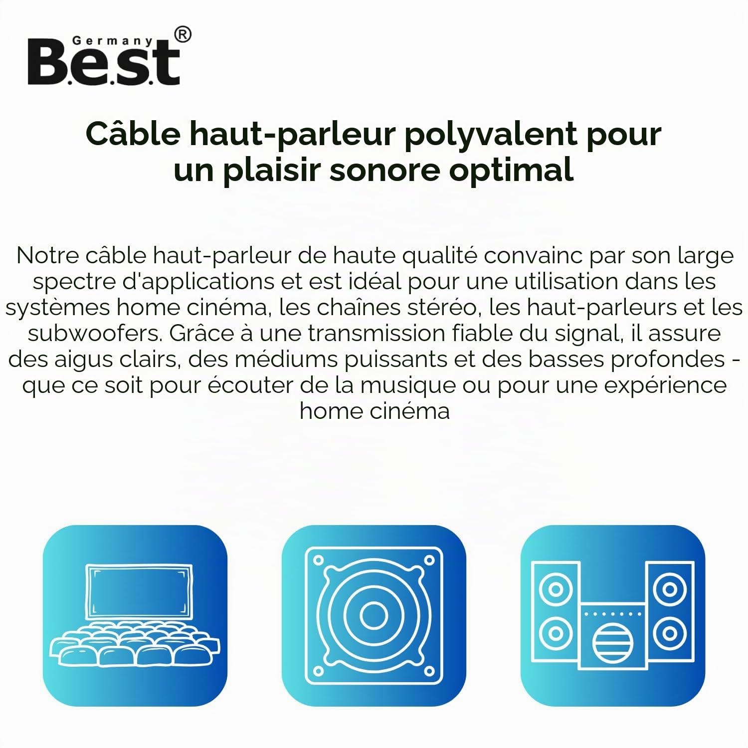 Germany B.e.s.t Câble de haut-parleur 100 m 2 x 2,5 mm² pour haut-parleurs et systèmes home cinéma, câble HiFi CCA - Cuivre et aluminium