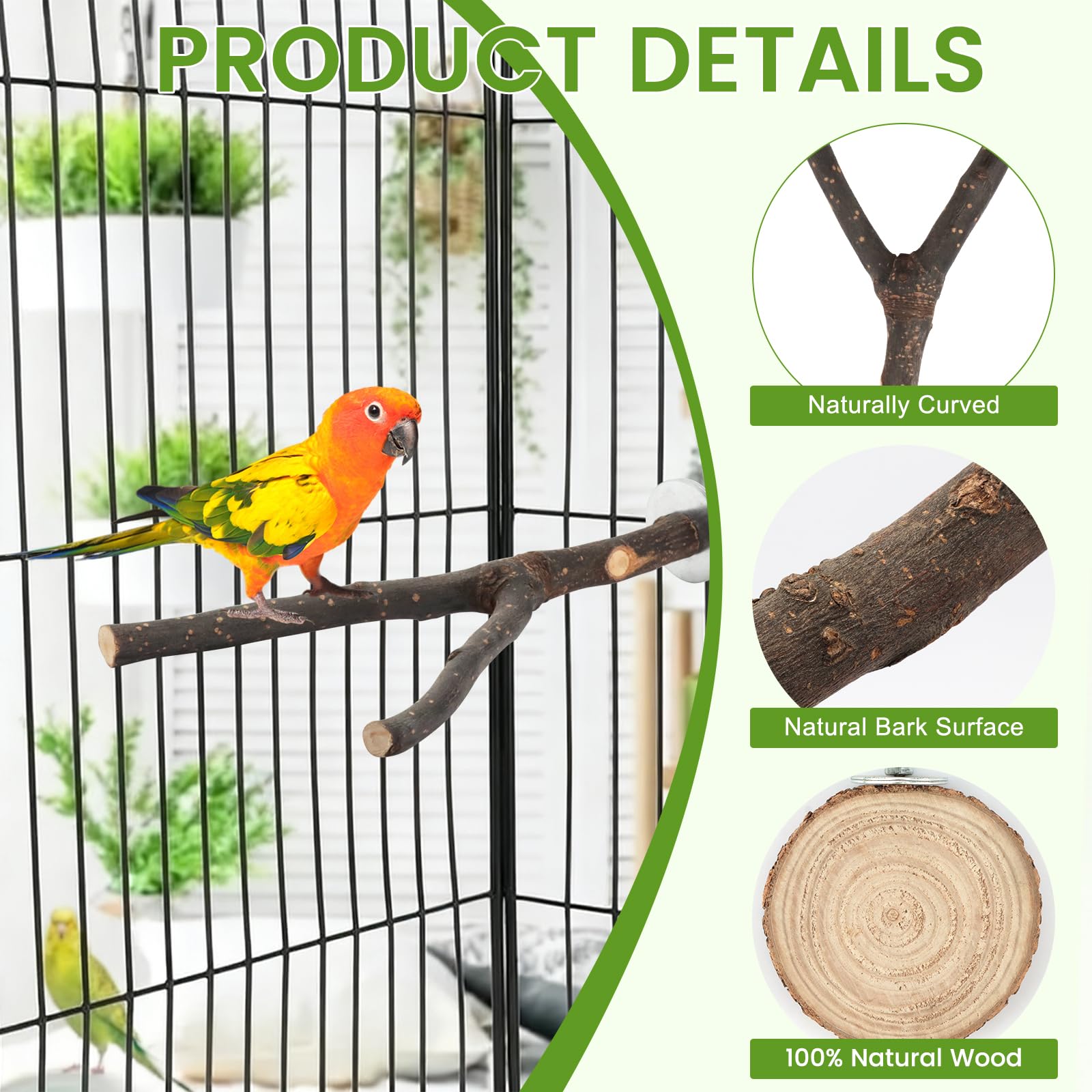 8PCS Natural Wood Bird Perches, Parrot Perch Stand & Chewing Toy with Multi-Branch & Rope, Cage Accessories for Parakeets, Conures, Cockatiels, Lovebirds, Budgies - image 3