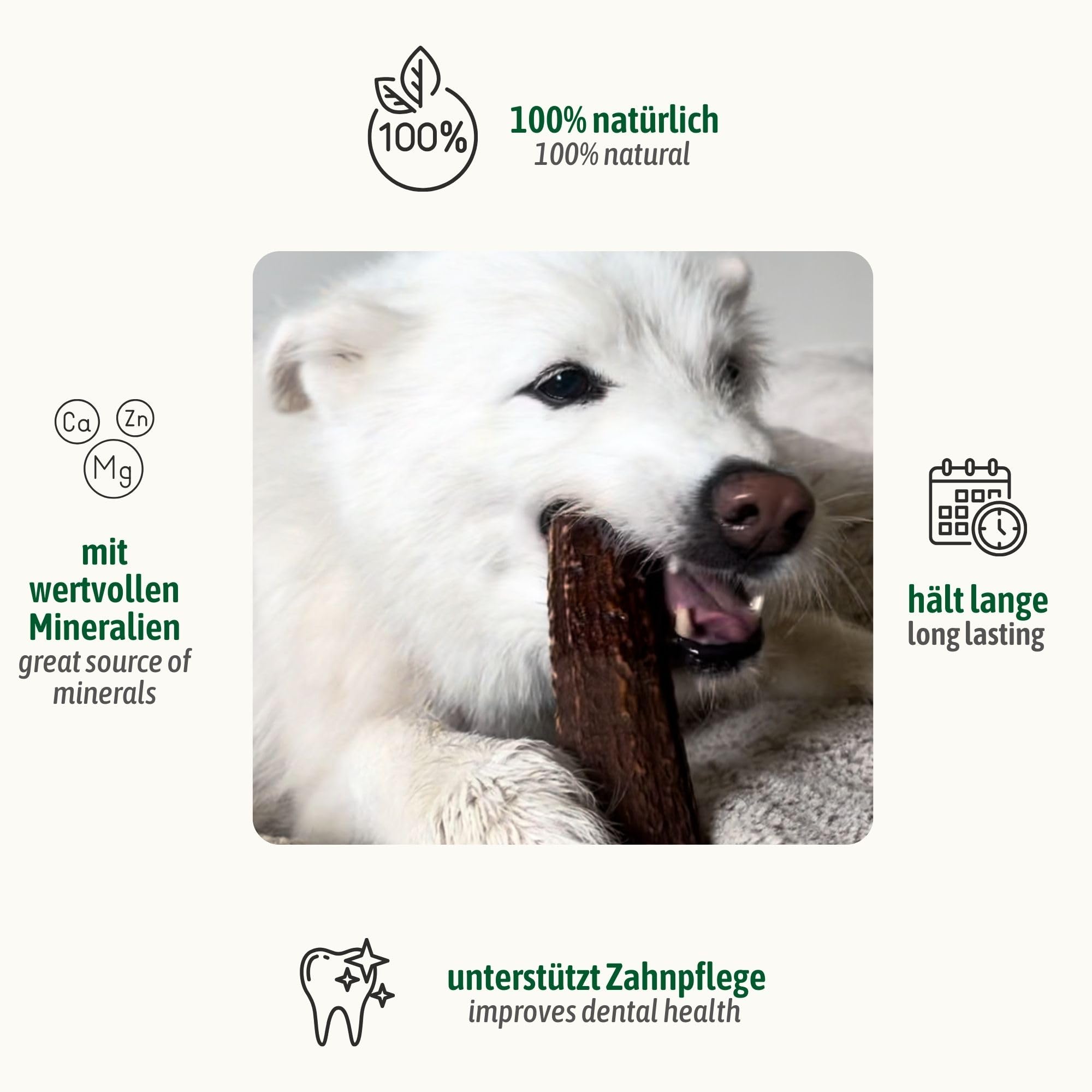 ChronoBalance® XS Kaustange für Hunde ganze Stücke als Kauspielzeug: 100% Hirschgeweih für Hunde, Hundespielzeug, Leckerli Zahnpflege, Kausnack, Geweih Kauknochen, Natürlich ohne Zusätze (5er Set)
