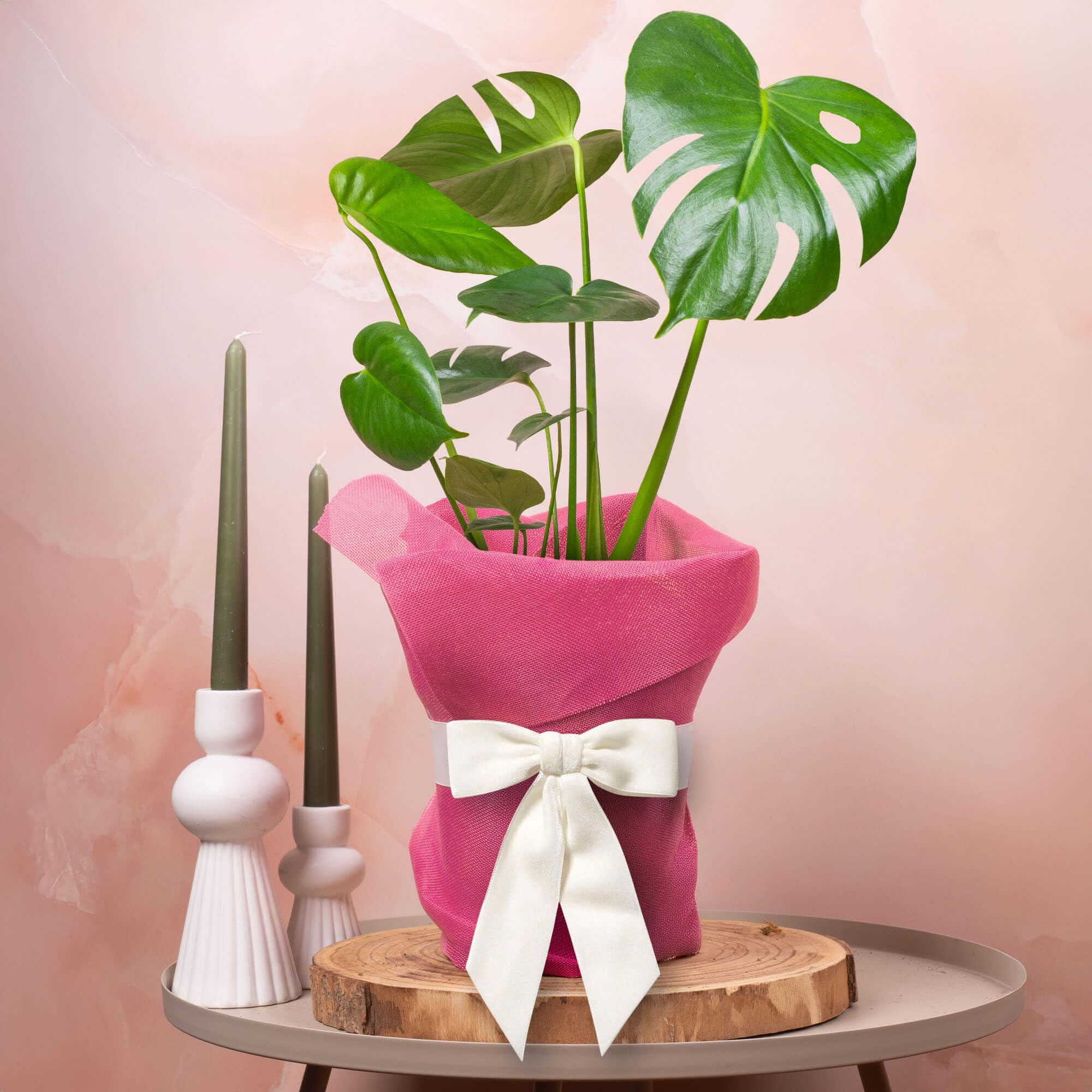 GardenersDream Monstera Swiss Cheese Plant Gift - Indoor Real Houseplant for Birthday, Anniversary & Mother's Day Gifting - Pink Hessian Wrapping, White Bow & Custom Message Card (14cm Pot, 40-50cm)