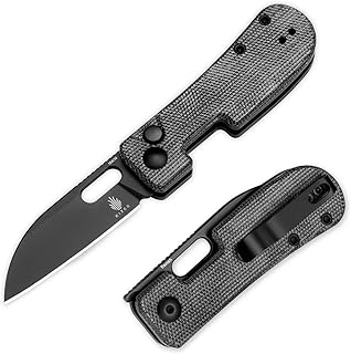 Kizer Banish Folding Pocket Knife, 2.3" 154CM Steel Blade Small EDC Knife, Micarta Handle Mini Utility Knife for Men Women Sharp Camping Survival Hiking Knives, V2676C1 - Kizer
