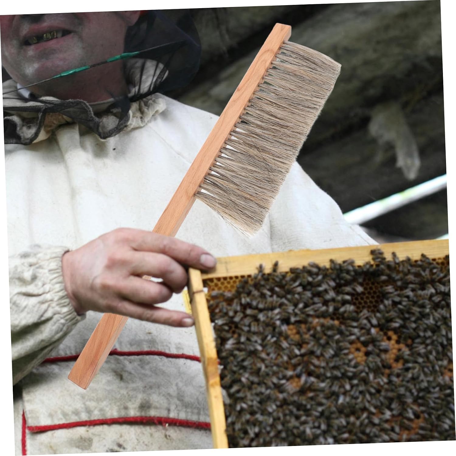 Beehive Cleaning Brush Beekeeping Equipment Tool Wood Handle Brush for Beehive
