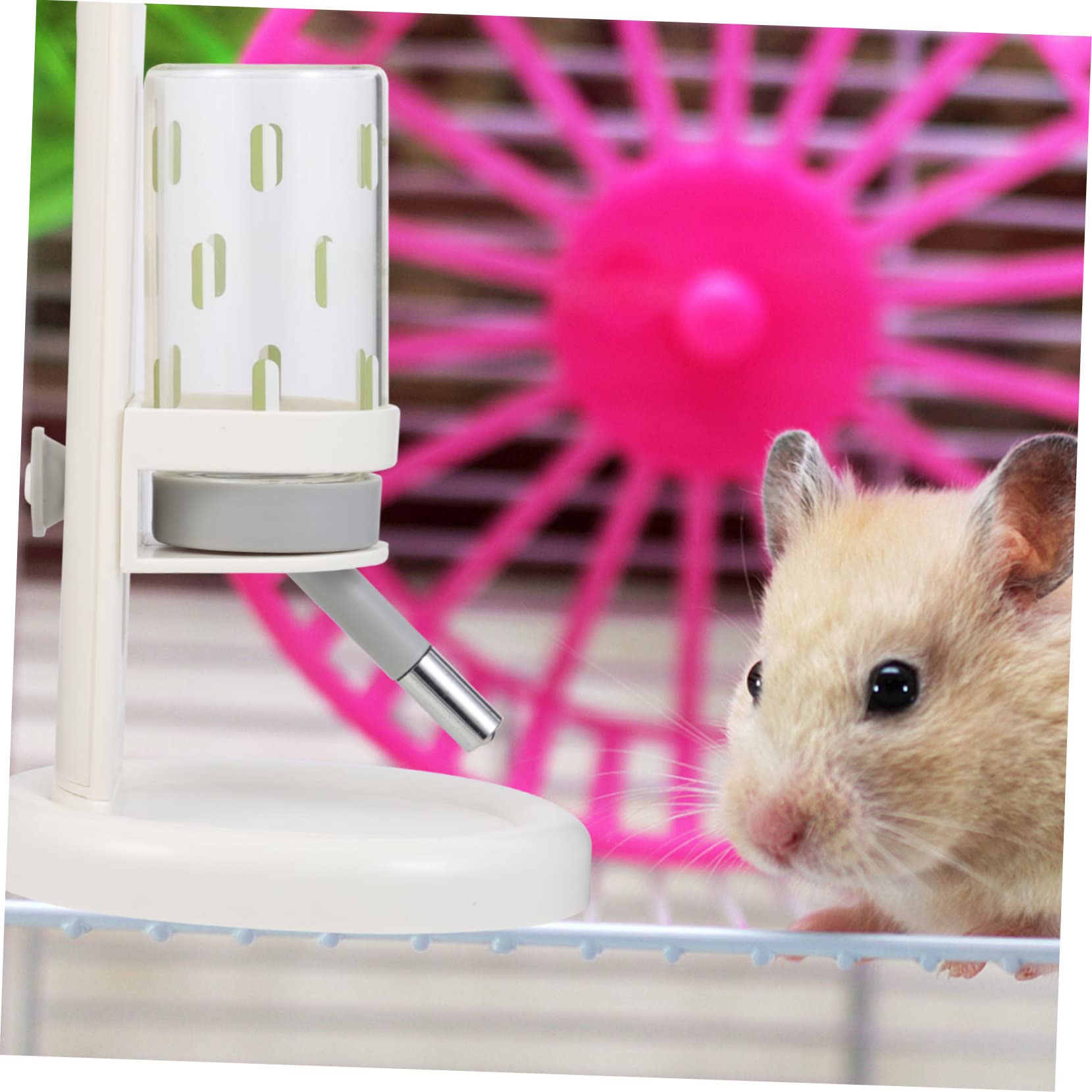 Beaupretty Distributeur D’Eau pour Hamster, Biberon pour Rongeur, Bouteille Transparente Anti-Fuite, Lecture Facile du Niveau D’Eau, pour Petits Animaux