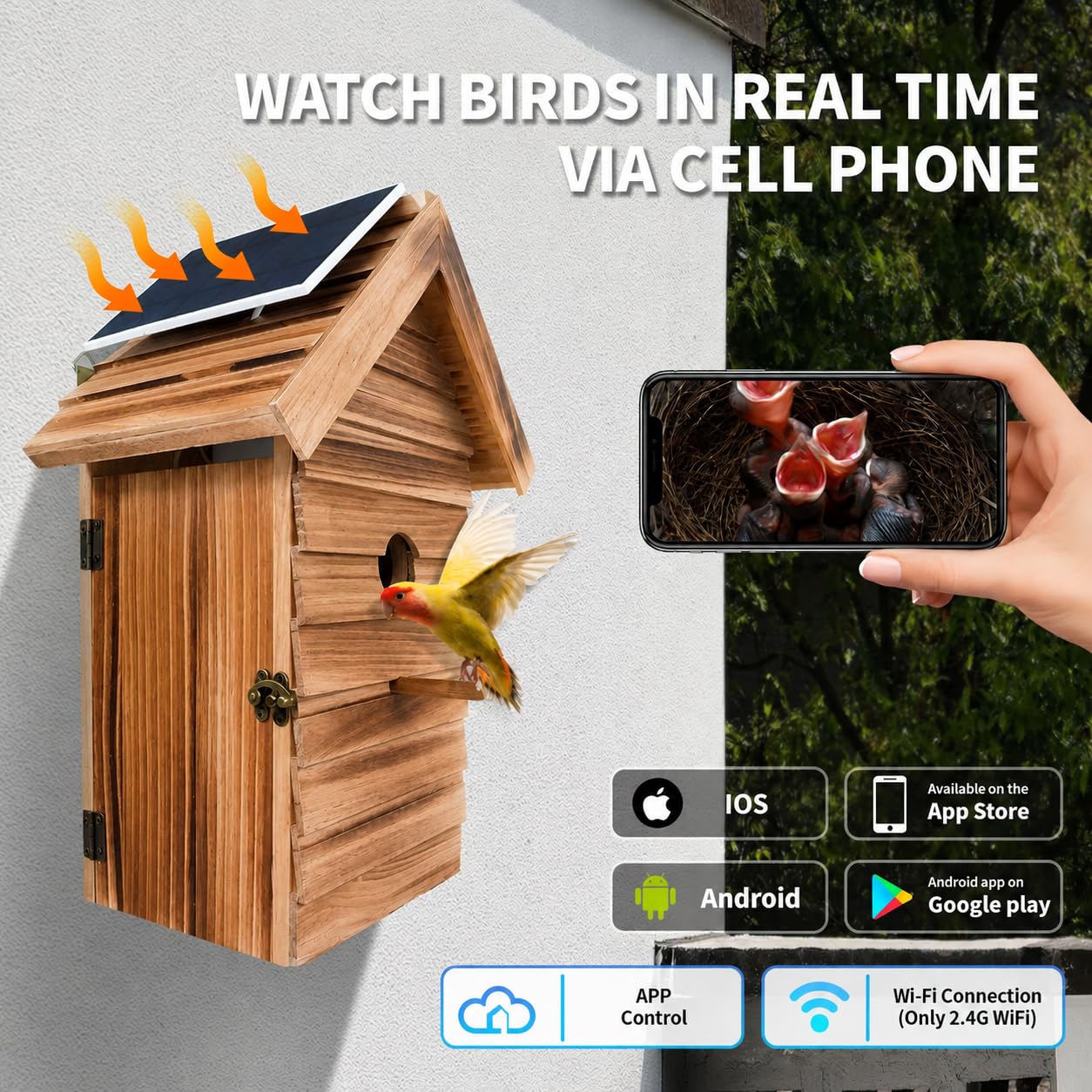 Casetta per uccelli con fotocamera, casetta per uccelli da esterno con acquisizione automatica di foto e video, WiFi 2.4G e app notifica 160° di larghezza wireless, casetta per uccelli in legno (scura