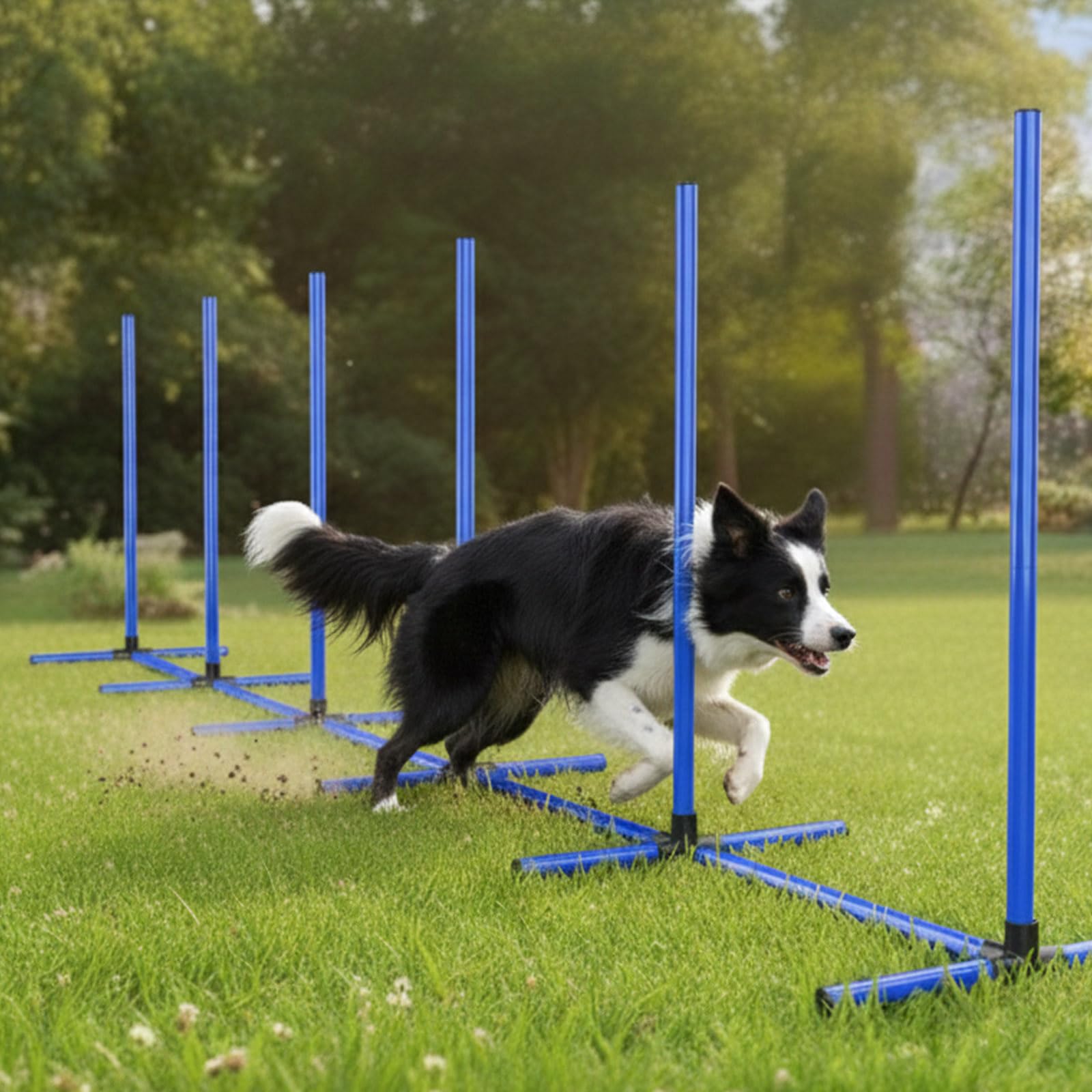 MAICOBI 6 Weave Poles & 2 Hurdle Dog Agility Set, Indoor & Outdoor Training Equipment with Support Feet, 31" Height, 24" Spacing, Storage Bag