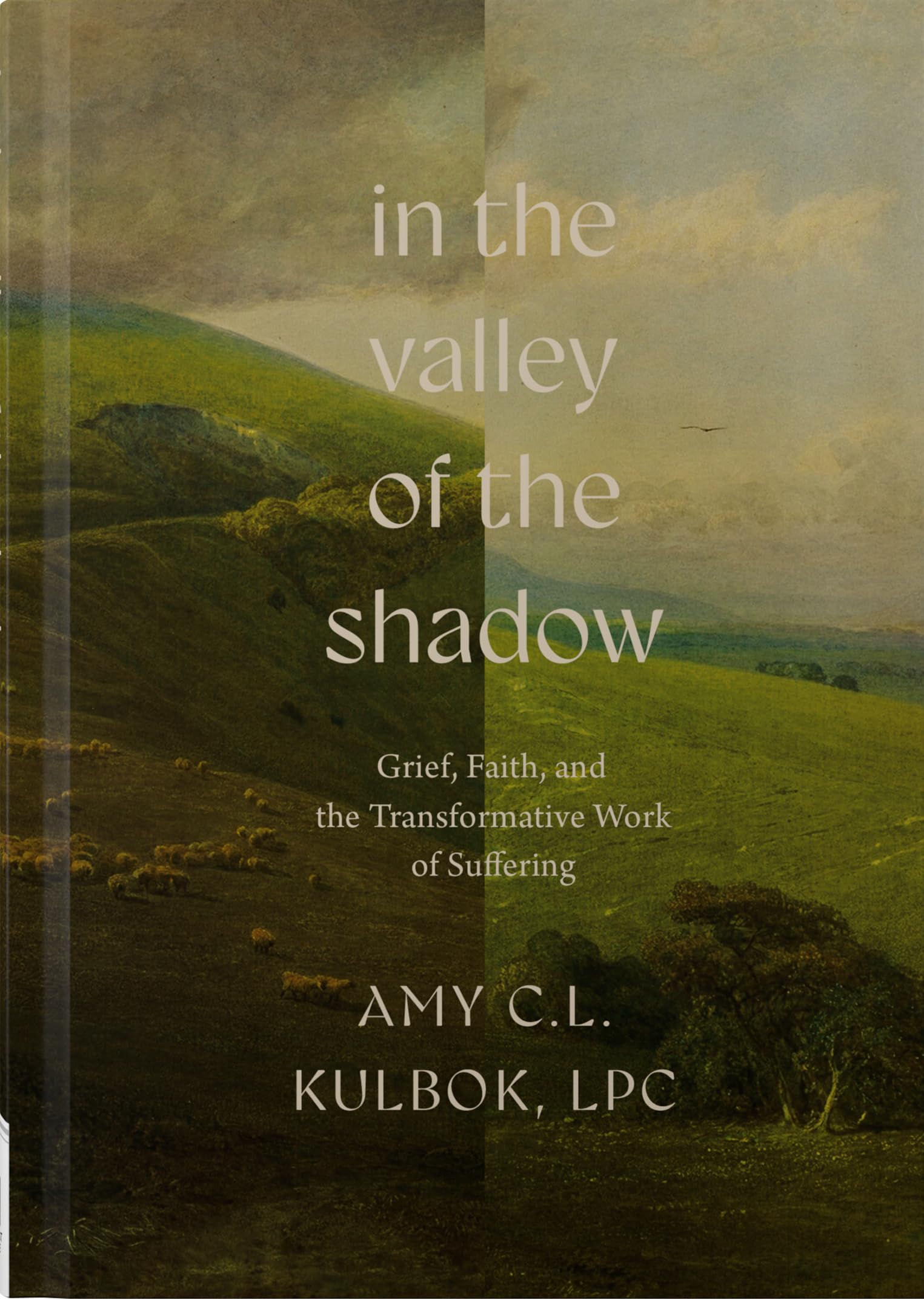 In the Valley of the Shadow: Grief, Faith, and the Transformative Work of Suffering