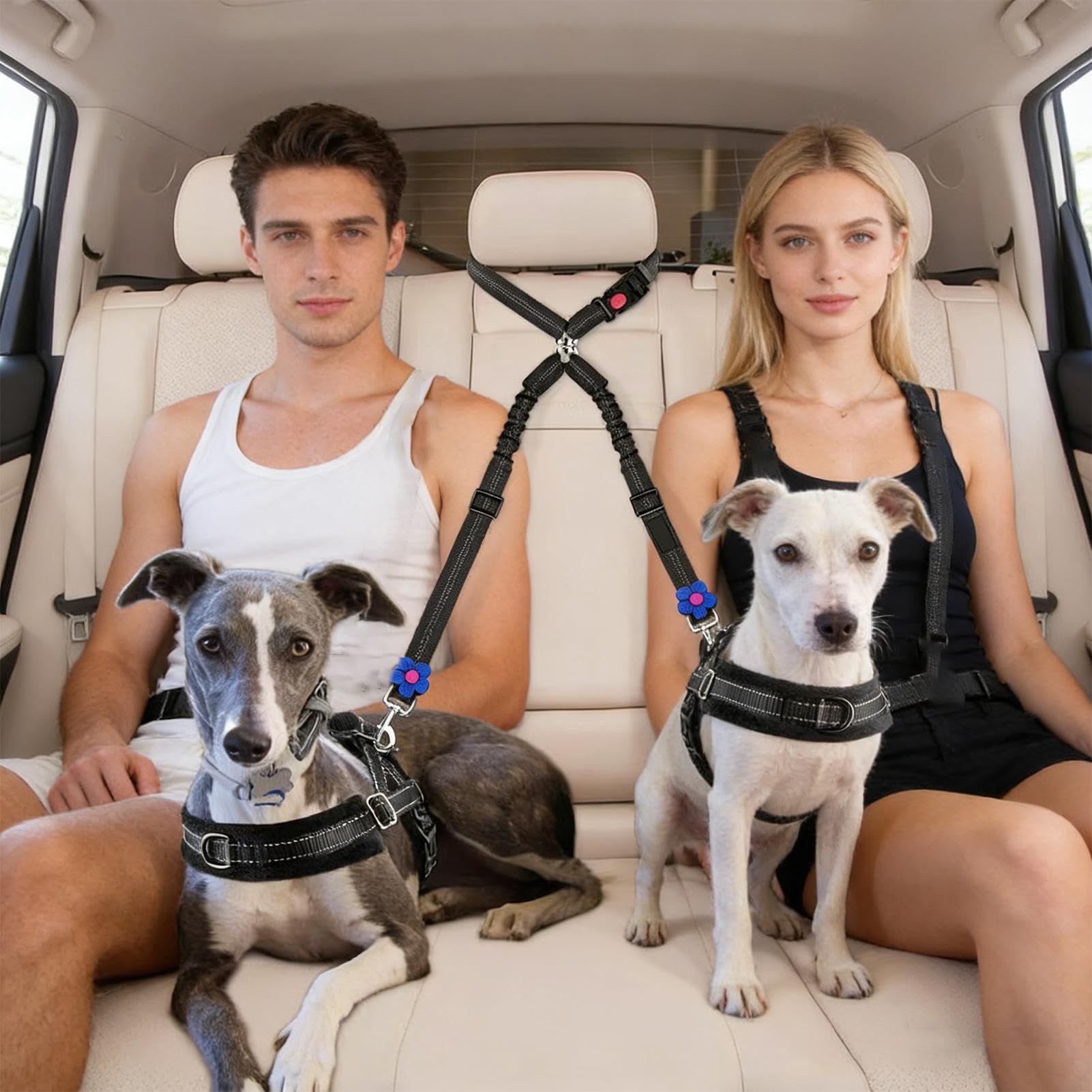 Hundesicherheitsgurt Für Auto Tiergeschirr Ausfahrbar | Tierischer Autogurt Für Fahrten Für Kleine Und Mittelgroße Rassen Pendeln Reisen Roadtrips Lange Fahrten Familienausflüge