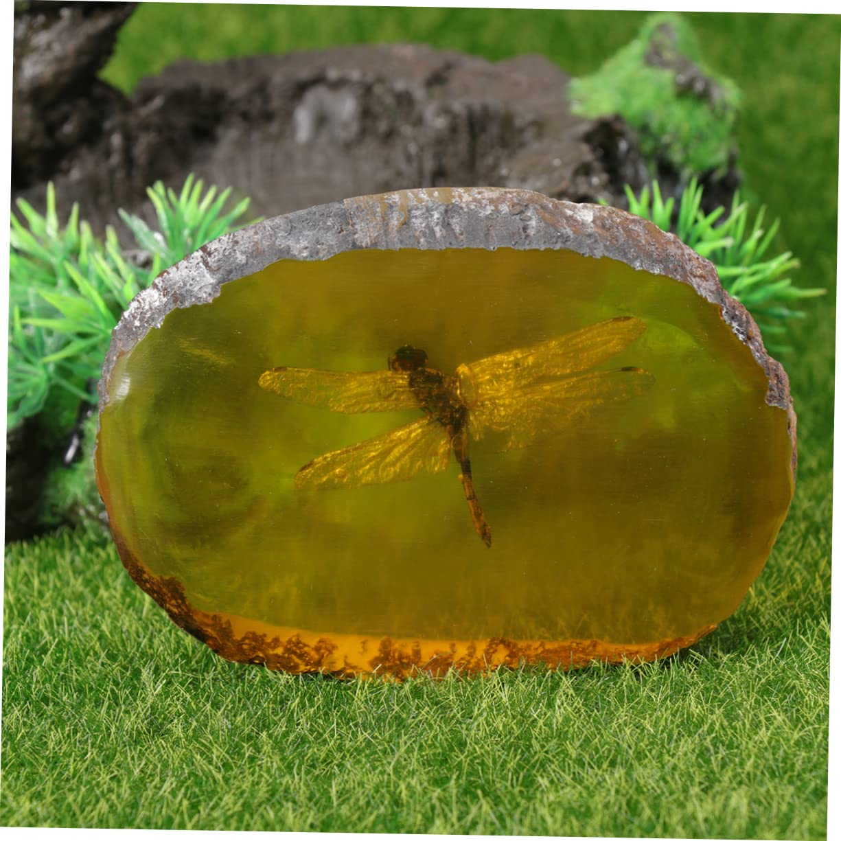 GLEAVI 1 Pc Ciondolo fossile di Pietra di Pendente Esemplare di Ambra di Pietre fossile di di Ornamento in Pietra ambrata nellambra Domestico Accessori Geco Esemplare di Farfalla Campione