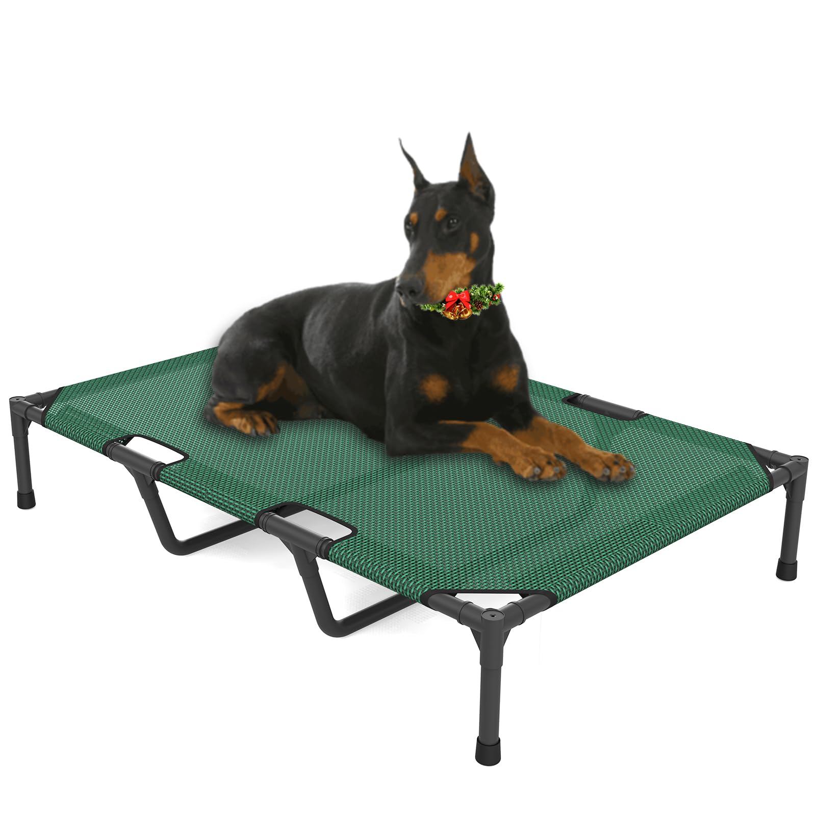 FIOCCO Elevated Dog Bed - Dog Cot with Chew Proof Mesh for Large Dogs