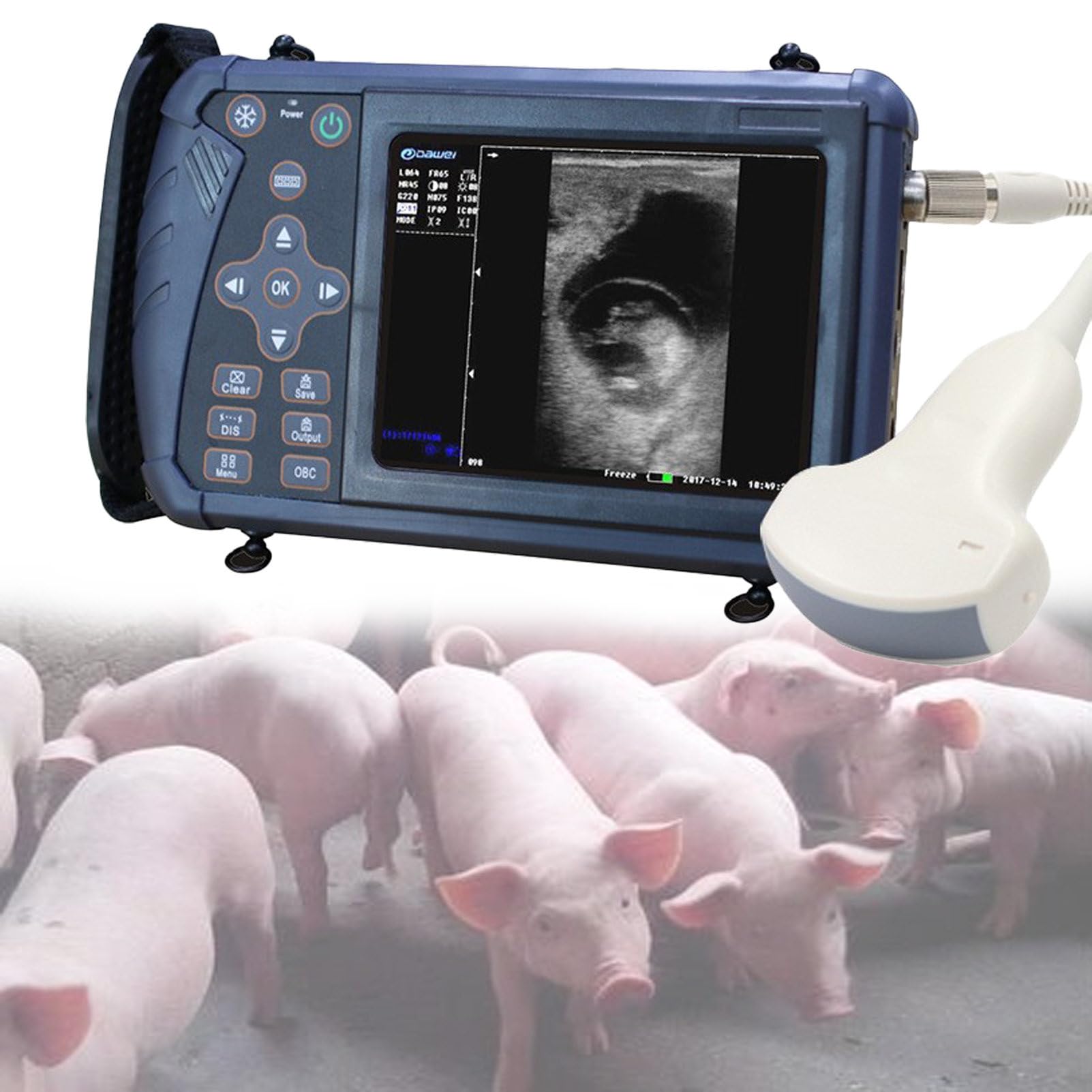 Scanner portatile ad ultrasuoni per imaging veterinario con sonda convessa, ideale per diagnostica animale