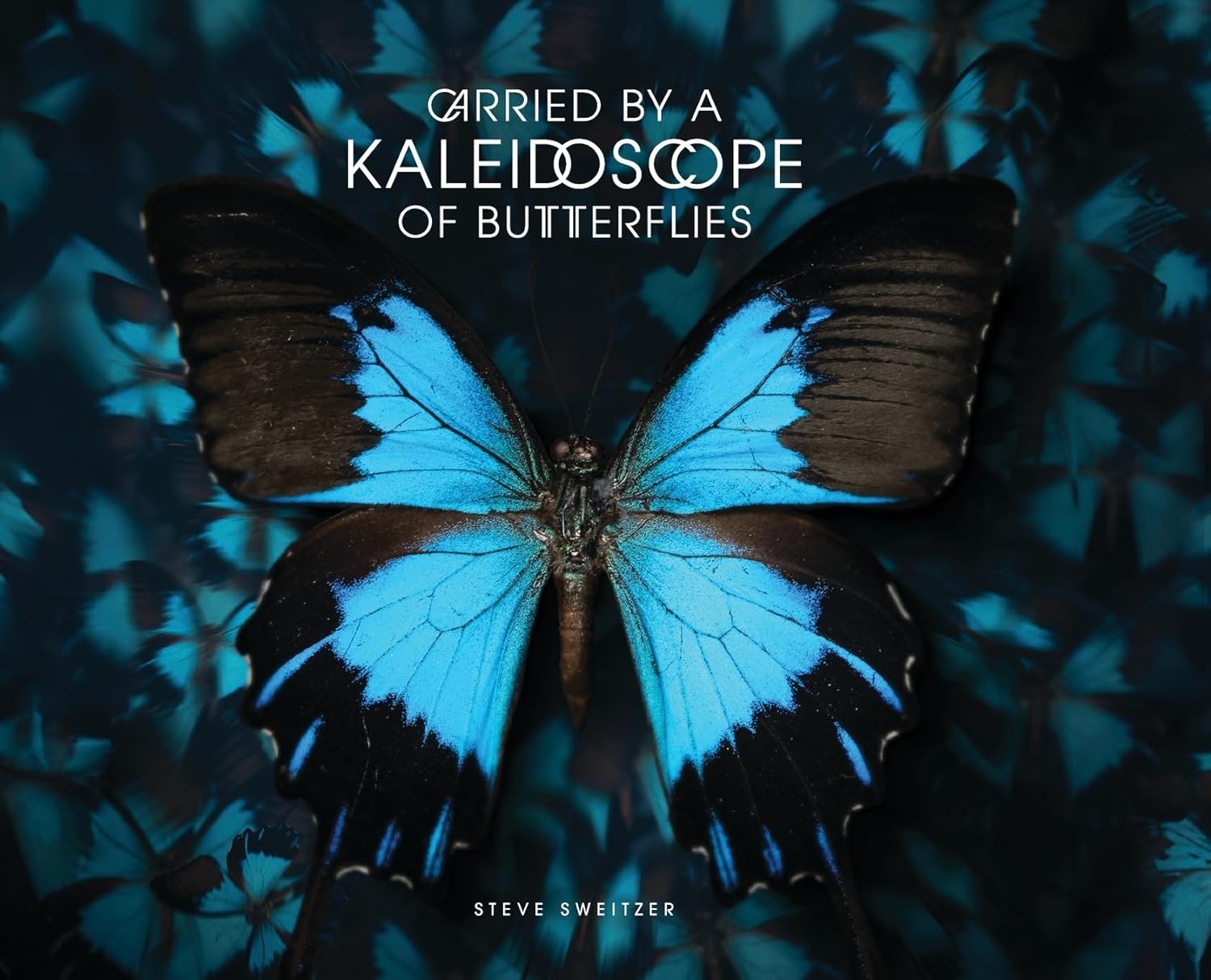 Carried by a Kaleidoscope of Butterflies      Hardcover – October 22, 2024