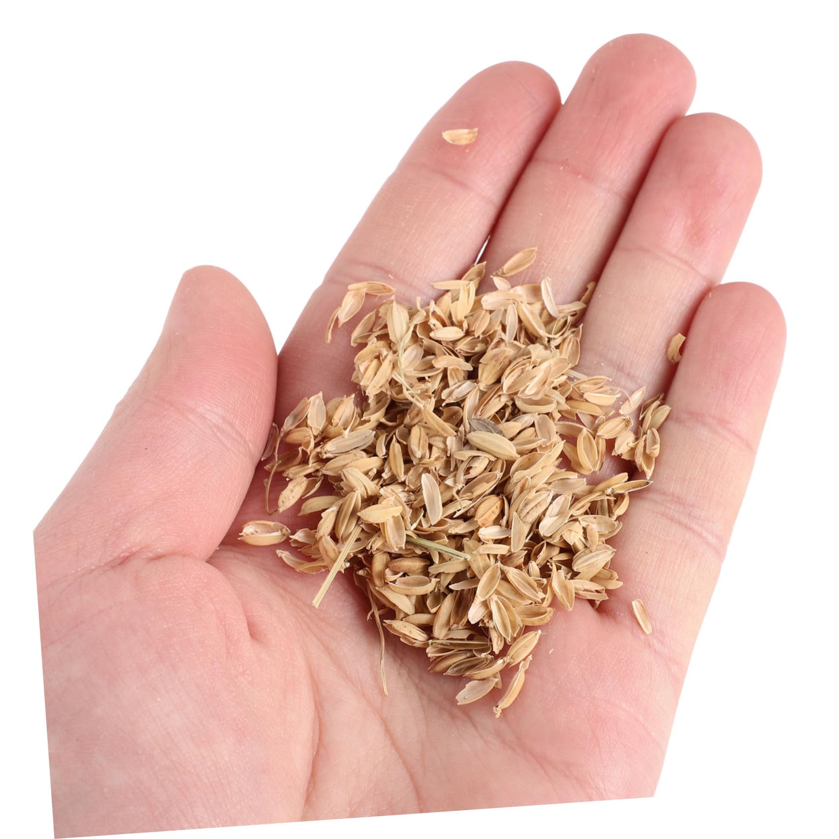 YARNOW Lettiera per Nido Pollo in Lolla di Riso Naturale 1, 5 kg | Materiale Pollaio e Piccoli Uccelli, Uso Agricolo e Miglioramento del Terreno, Formato Pratico
