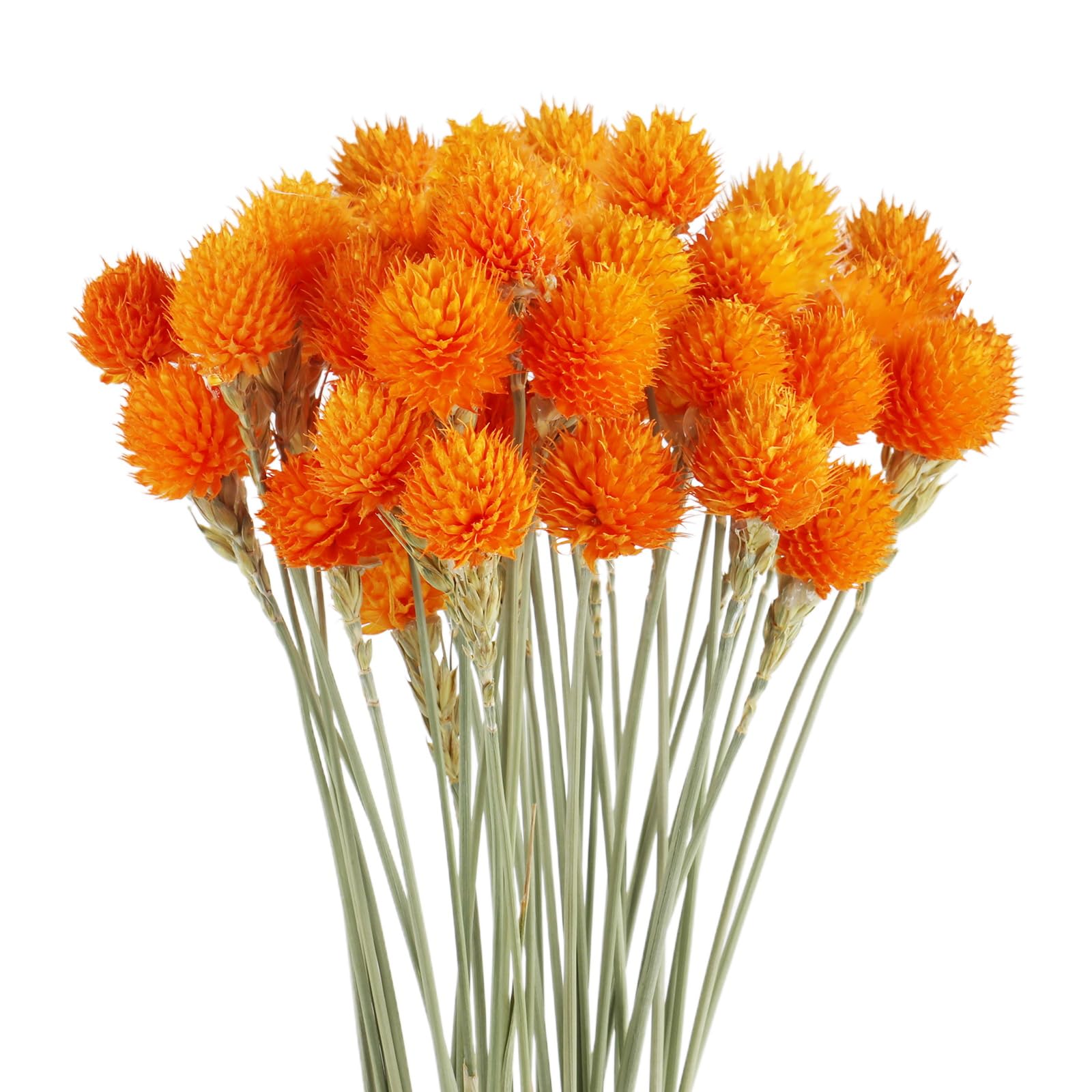 MIHUAGE Dried Globe Amaranth Flower Bouquet
