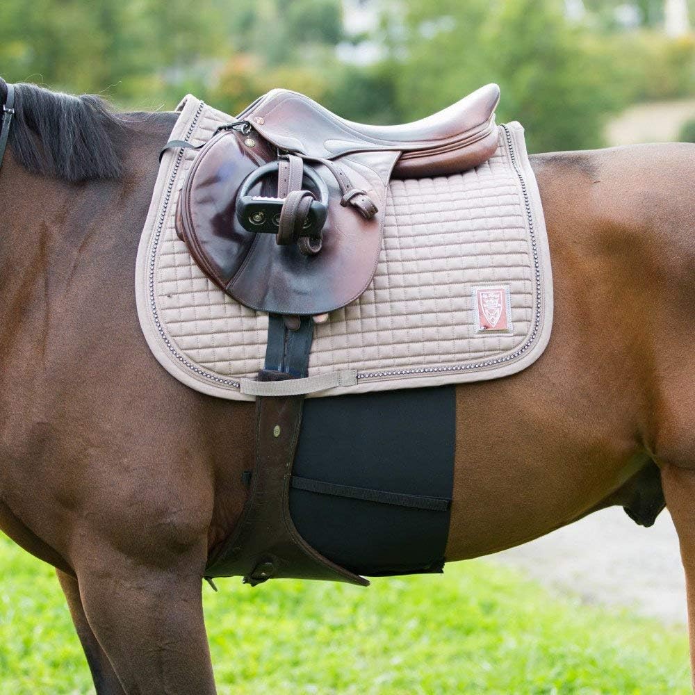 HORZE Elastic Protective Belly Guard | Anti-Rub and Anti-Chafe Girth Band for Horses