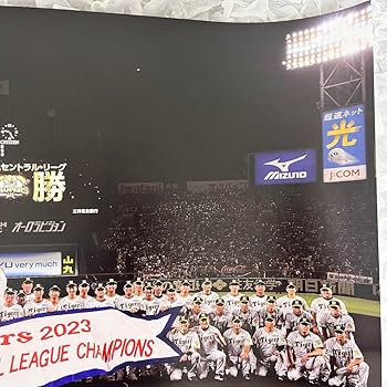 Amazon.co.jp: 阪神タイガース 優勝ポスター セ リーグ 2023年 甲子園