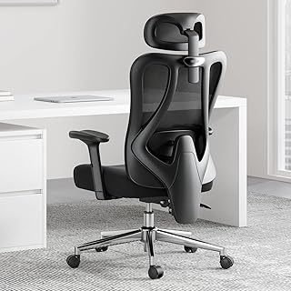 Hbada E1C Ergonomic Office Chair, Rotating Up/Down Lumbar Support, Large Angle Tilt Back, 2D Adjustable Armrests & Headres...