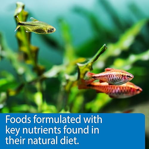 Miniatura 5 de API TROPICAL PELLETS Pellets hundidos Alimento de pescado Contenedor de 1.6 onzas