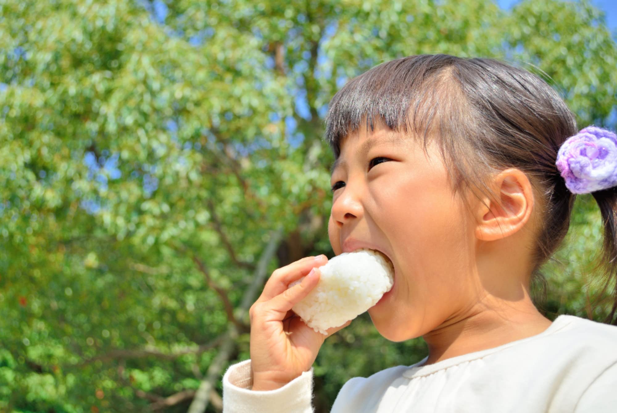 Amazon.co.jp: 【京見の森自然食品】 干しずいき 芋がら - 乾燥野菜