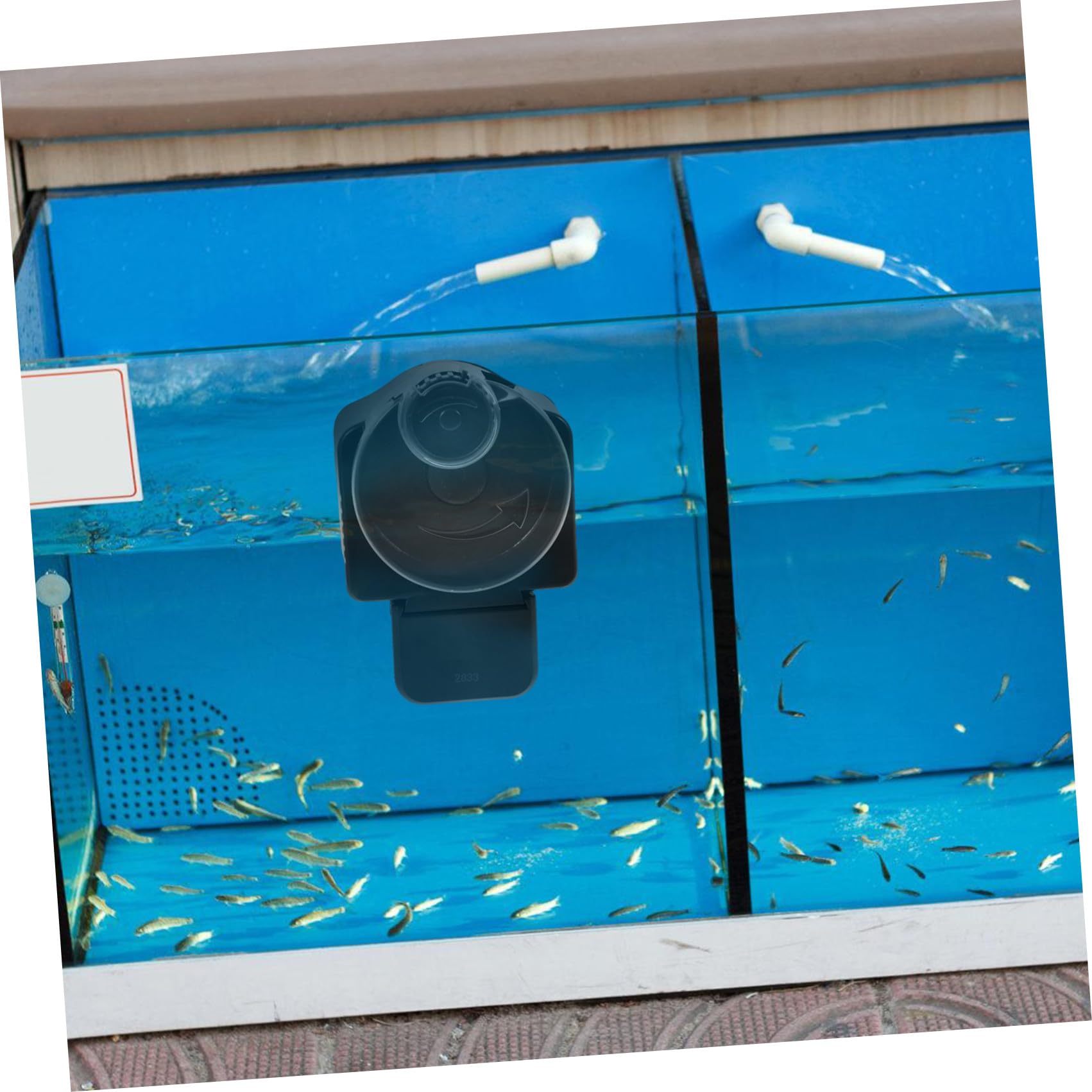 VICASKY Distributeur Automatique pour Poissons Aquarium sans Piles Distribuant Nourriture Précisément