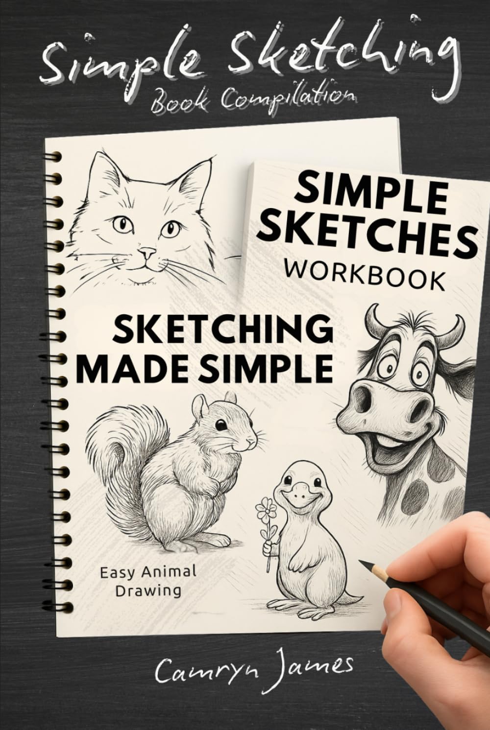 Simple Sketching Book Compilation : Livre de dessins minimalistes au format broché de 160 pages