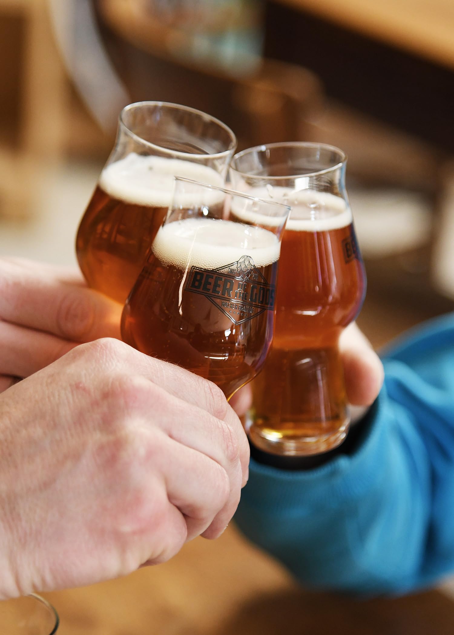 WACKEN BRAUEREI Craft Beer Tasting Geschenkset 5 x 0,33 l verschiedene Sorten + Bierglas BEER OF THE GODS | Eine Handvoll Götter | Viking Craftbeer Set Gift for Men | Wikinger Geschenk Männer