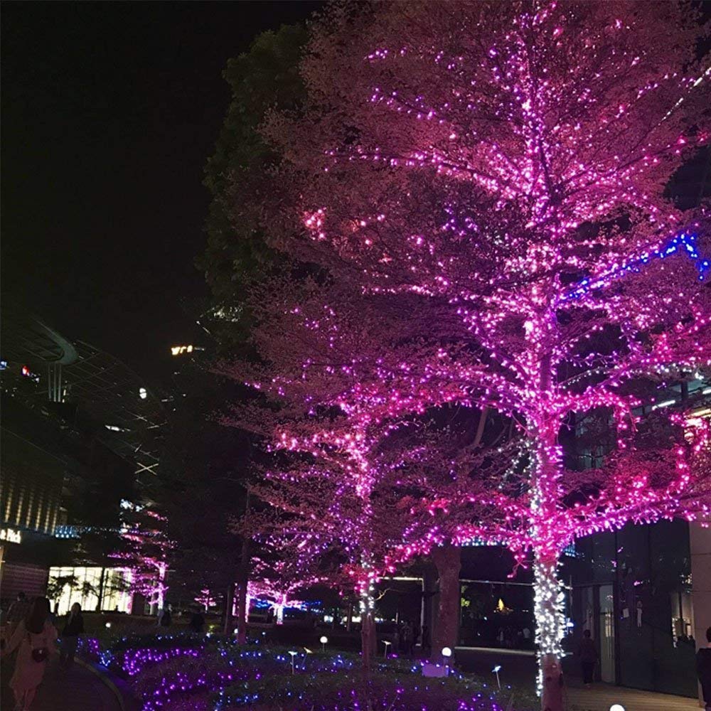 Luzes de hadas solares led, 22M 200LED luces de cadena de Navidad al aire libre, árbol impermeable y decoración del jardín para fiestas de vacaciones y bodas (rosa)