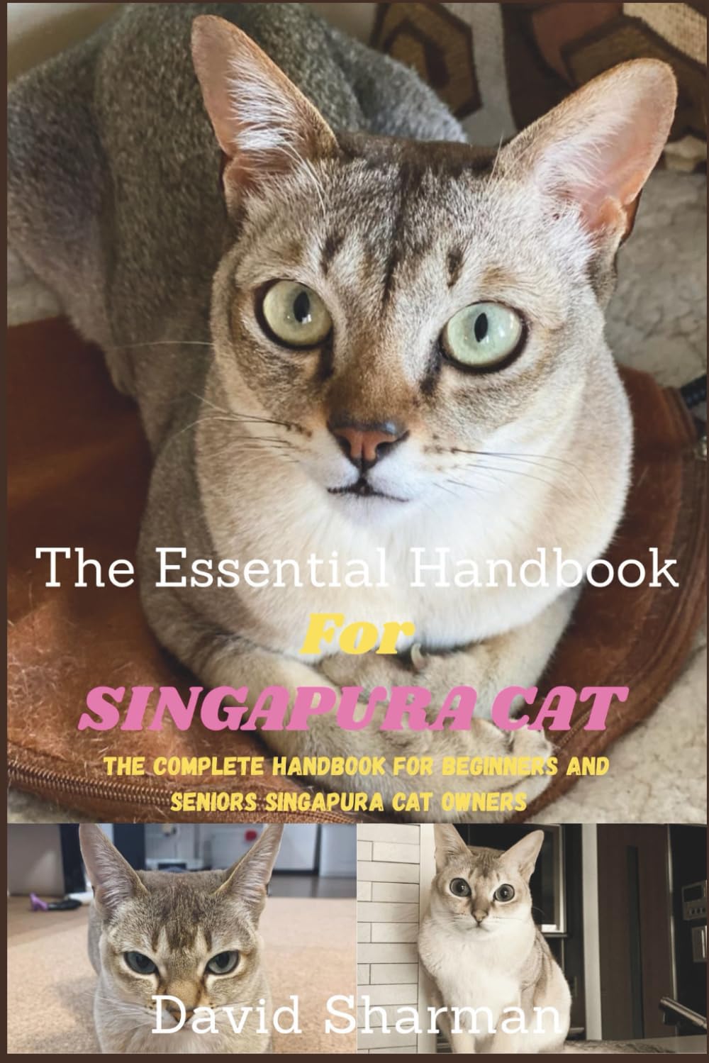 THE ESSENTIAL HANDBOOK FOR SINGAPURA CAT: The Complete Handbook For Beginners And Seniors Singapura cat owners