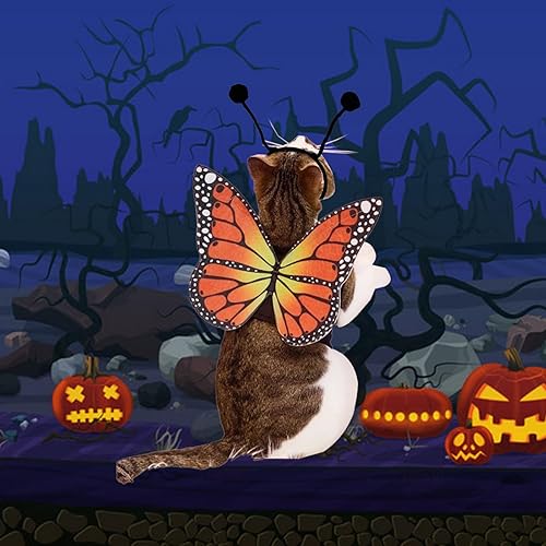Miniatura 6 de Alas de mariposa de gato, 2 piezas, disfraces para perros pequeños, divertidos diadema de antenas de alas de Halloween, disfraz de cosplay, ropa de