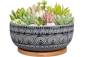 8 Inch Ceramic Succulent Planter Pot