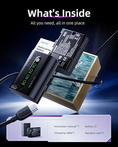 Miniatura 7 de llano Batería Aurora LP-E6P de 2600 mAh  Totalmente descodificada para Canon EOS R5R6R7 Mark II, 5D6D7D Mark IIIIIIV, 60D70D80D90D, pantalla LED