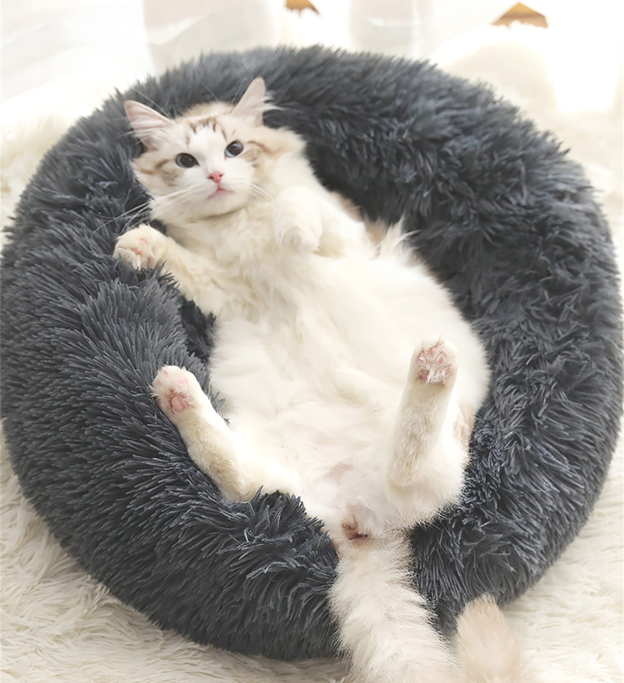 Photo 1 of *NEW* Gavenia Cat Bed