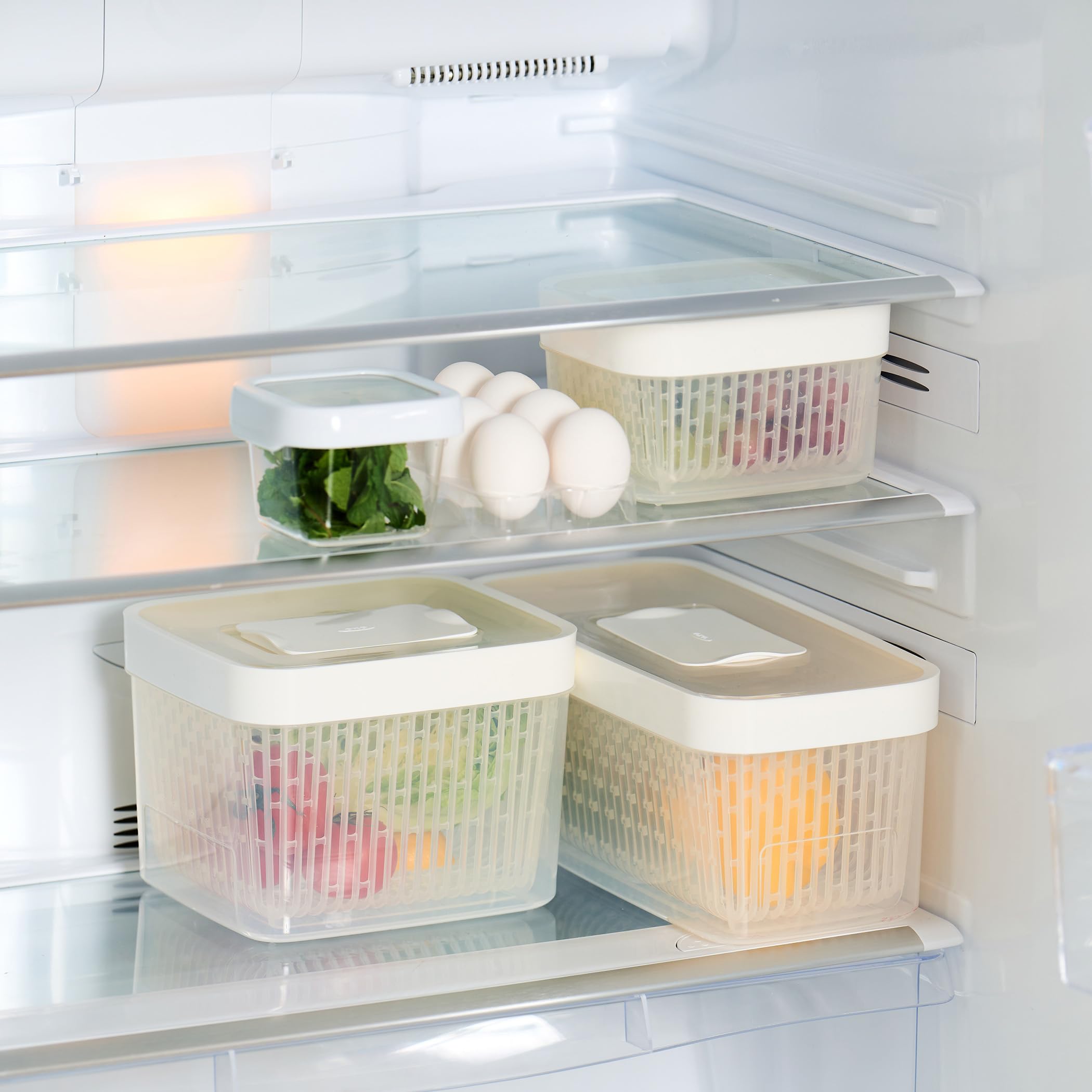 Amazon｜OXO 野菜保存容器 グリーンセーバー フードキーパー 4.7L 食洗