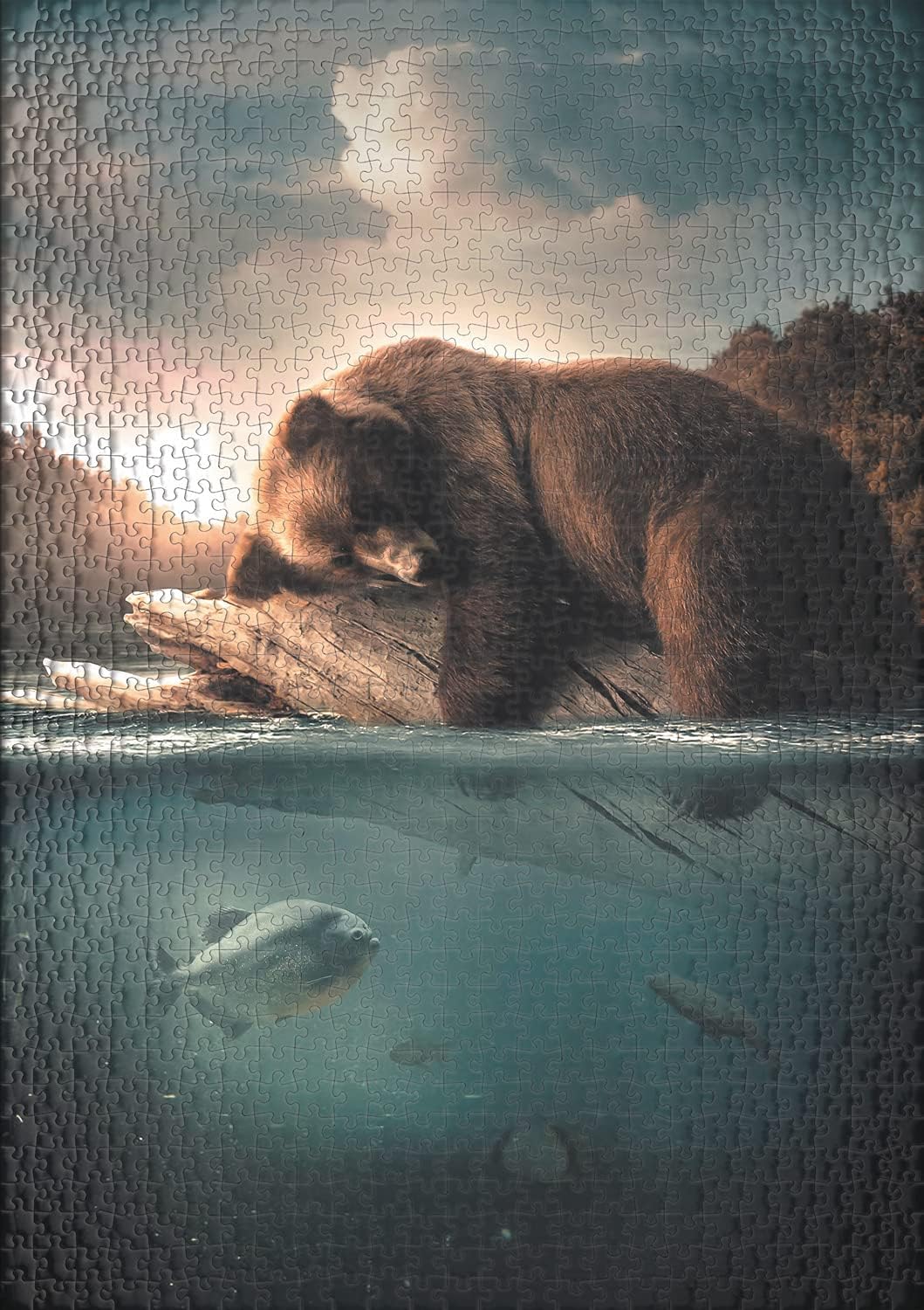 Ulmer Puzzleschmiede - Silent River Jigsaw Puzzle - Illusory 1000 Piece Wildlife Puzzle - The Bear and Fish Drives in the Silent River in Alaska's Evening Sun - Animals & Nature Imaginatively staged - Image 3