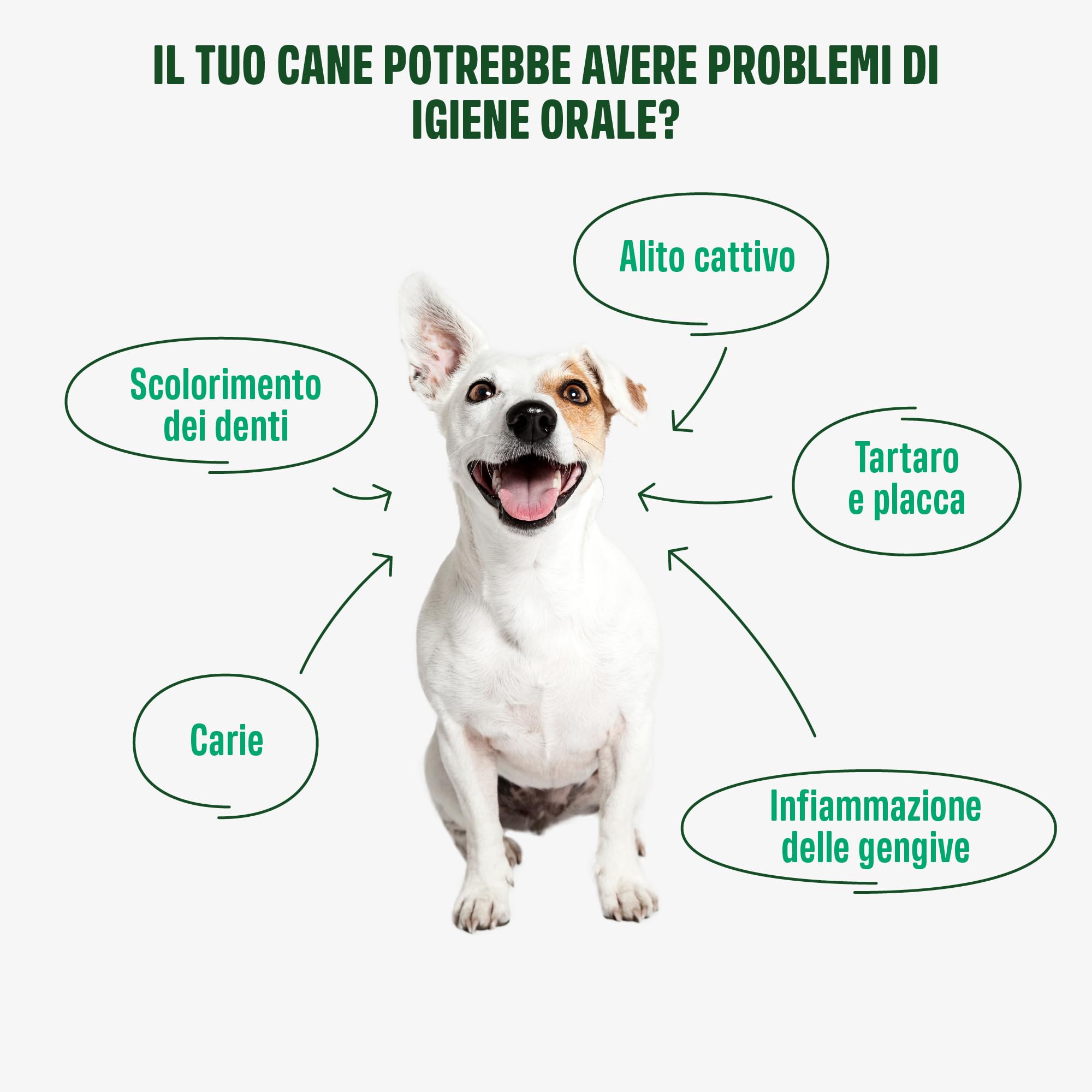 ivvi dental - snack per l'igiene dentale dei cani. Menta, prezzemolo, finocchio, camomilla, olio di cocco, alghe brune. 60 snack con pollo. Favorisce denti sani, alito fresco e gengive sane