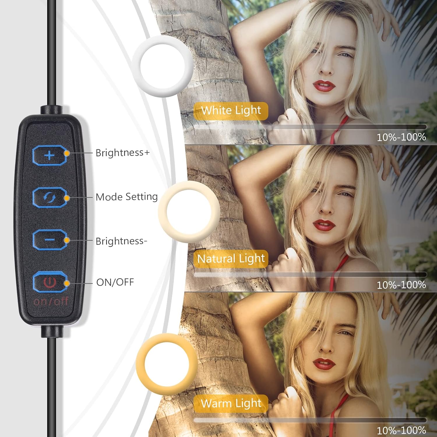 Video Conference Lighting, Ginave Ring Light for Laptop with Clip and Detachable 360 ° Flexible Gooseneck LED Desk Light, Zoom Lighting, Webcam Light,for Computer Monitor/Bed/Study Reading/Work