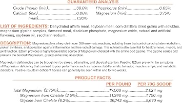 EZium Chelated Magnesium Supplement for 30-Day Supply- Horse Supplements Support Muscle Function, Focus & Recovery- Calming Equine Supplement Reduces Stress & Improves Behavior- 9.5 Lb. Resealable Bag