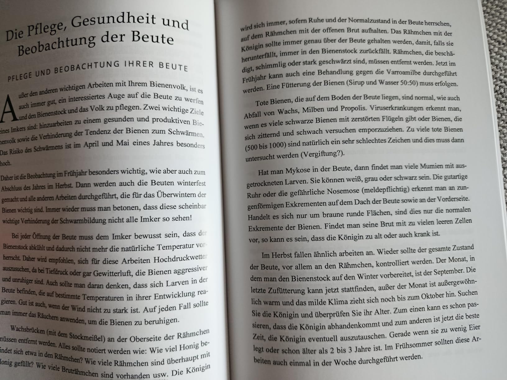 Foto zur Bewertung