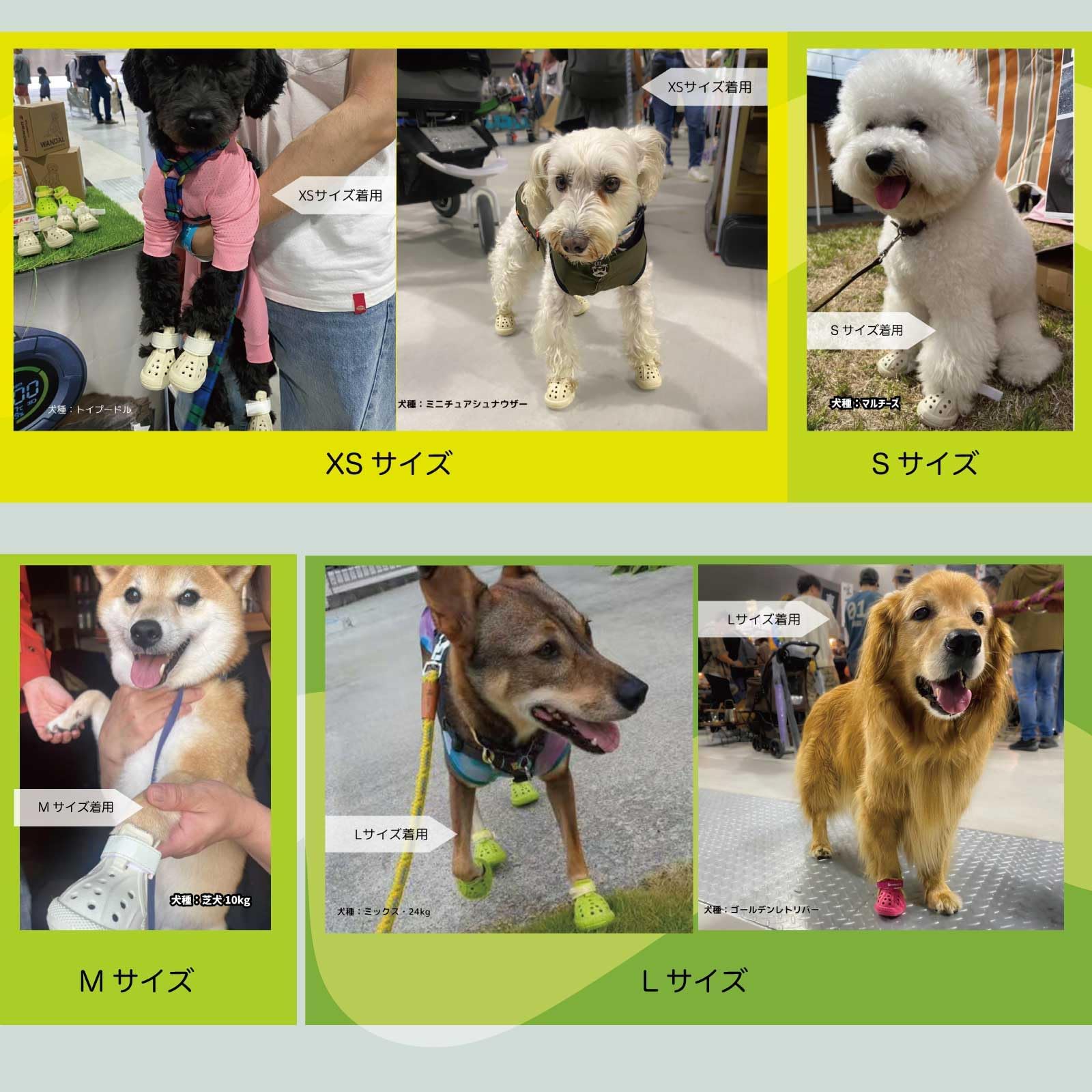Amazon.co.jp: [TOMONARI]犬用靴 WANDAL ワンダル 肉球 保護 火傷 傷