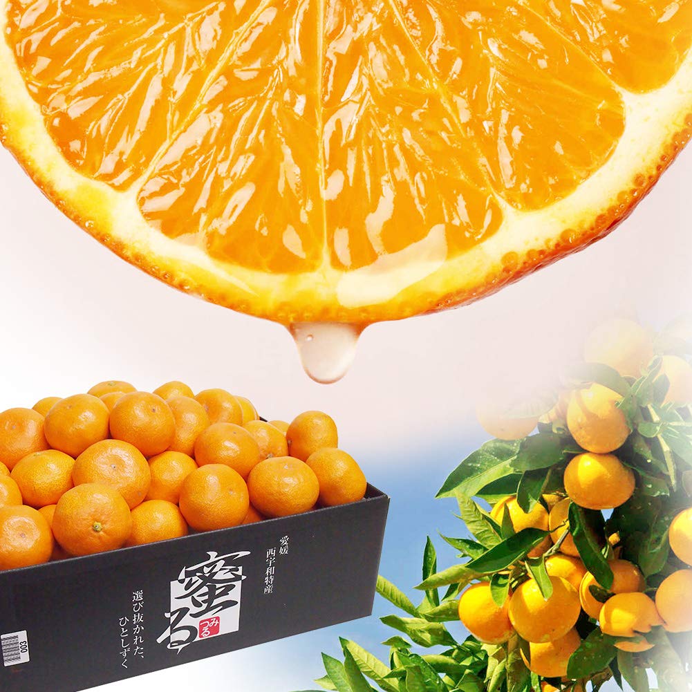 Amazon.co.jp: みかん 蜜るみかん 蜜る 特秀品 約2.5kg S～Lサイズ 20