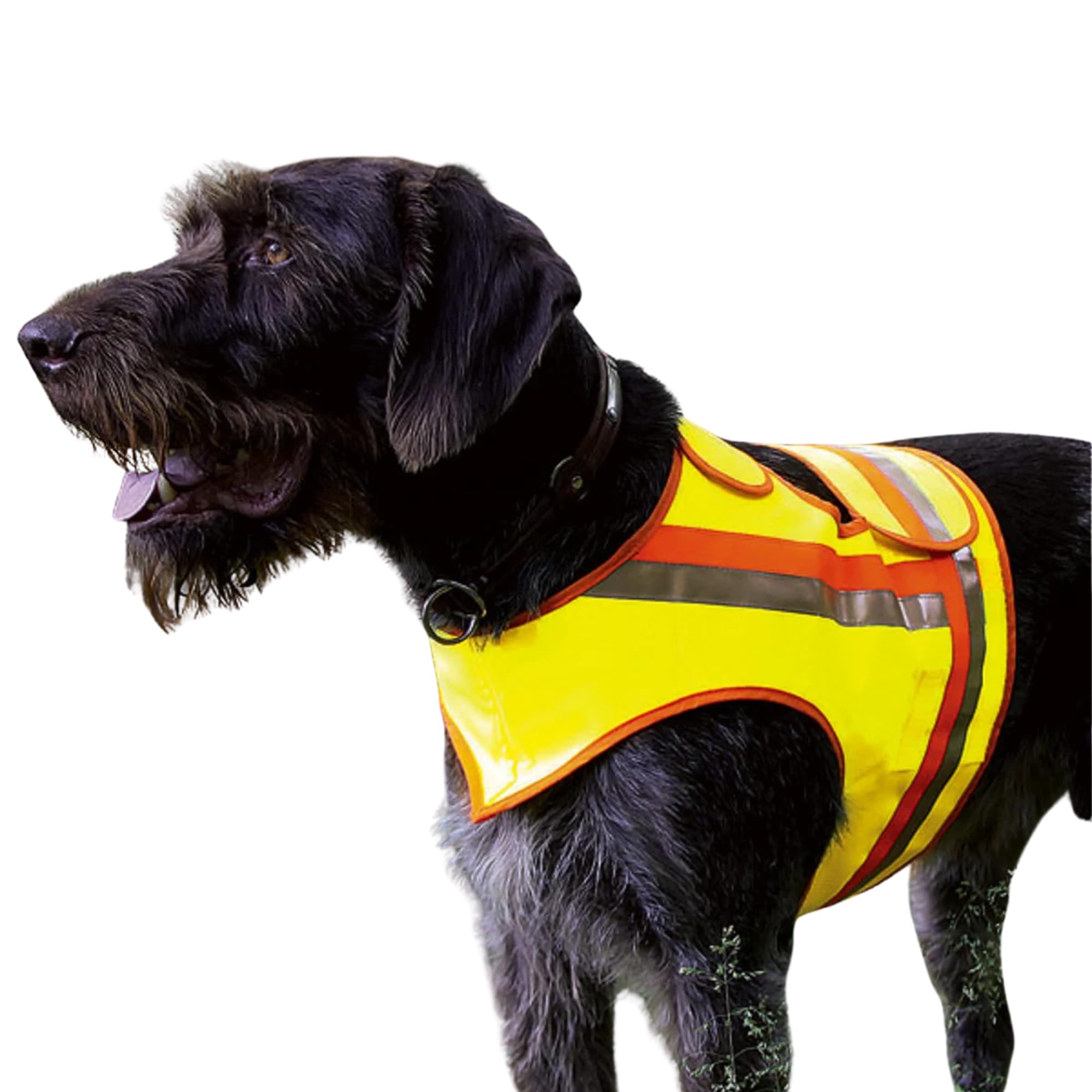Gilet réflecteur pour chiens jaune taille 4 haute visibilité pour grand chien de chasse