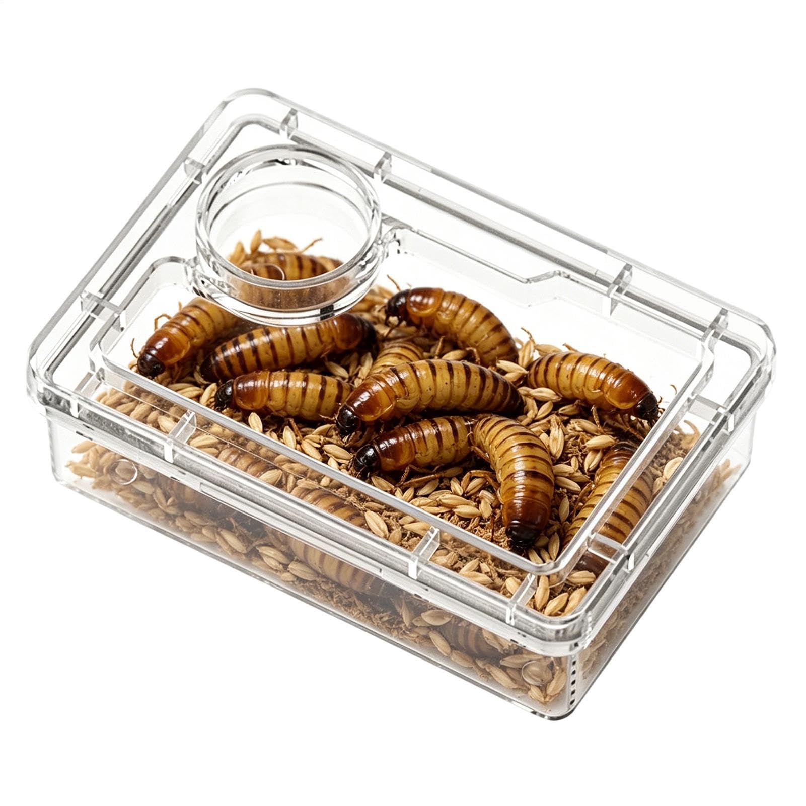 Gamelle Pour Reptiles | Avec Compartiment Transparent Et Anti-Fuite,Plat De Nourriture Anti-Fuite Pour Lézards - Adaptée Aux Bernard-L'Hermites, Grenouilles, Araignées, Caméléons, Iguanes, Lézards, Ta
