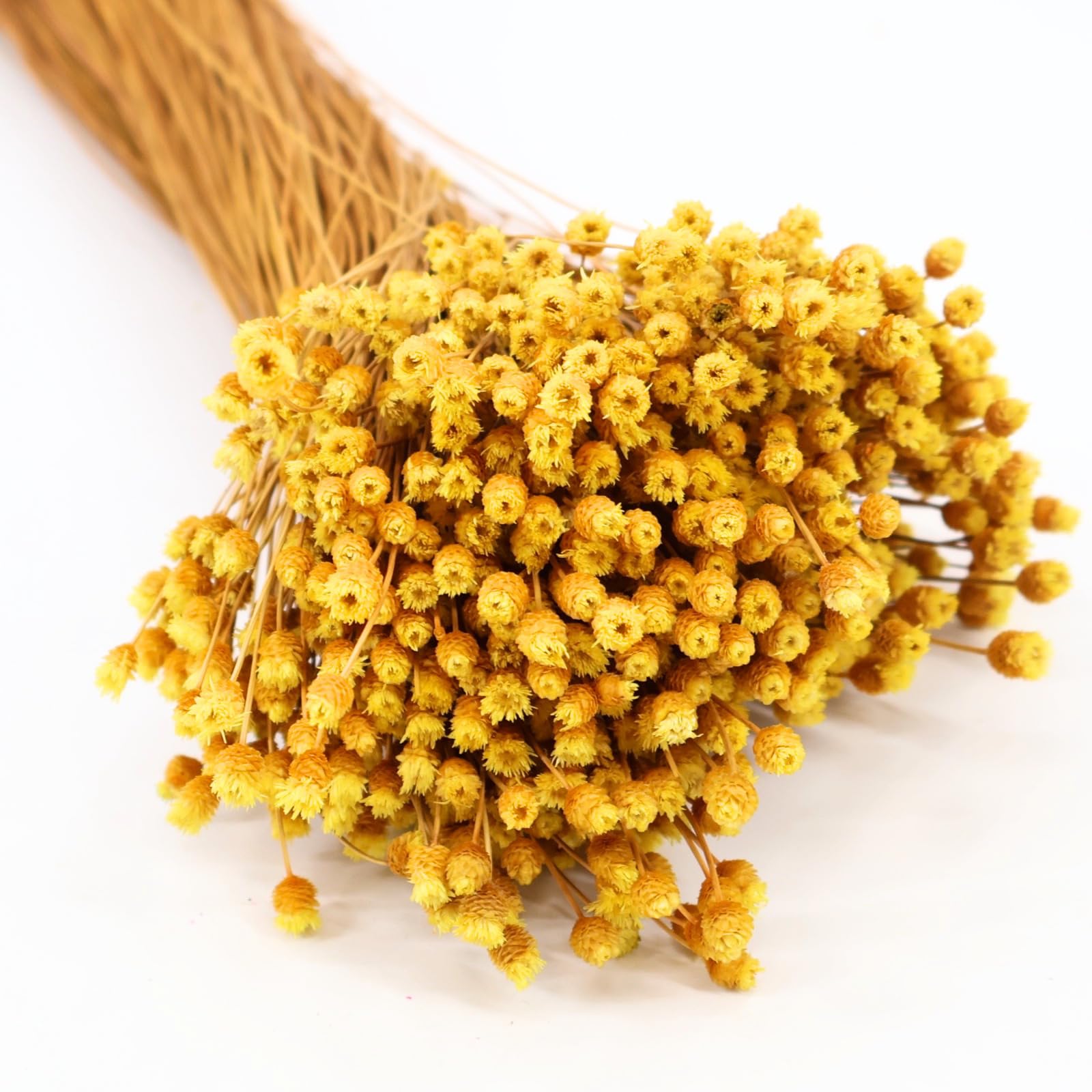Bouquet de fleurs heureuses doré, une création florale aux finitions raffinées et éclatantes