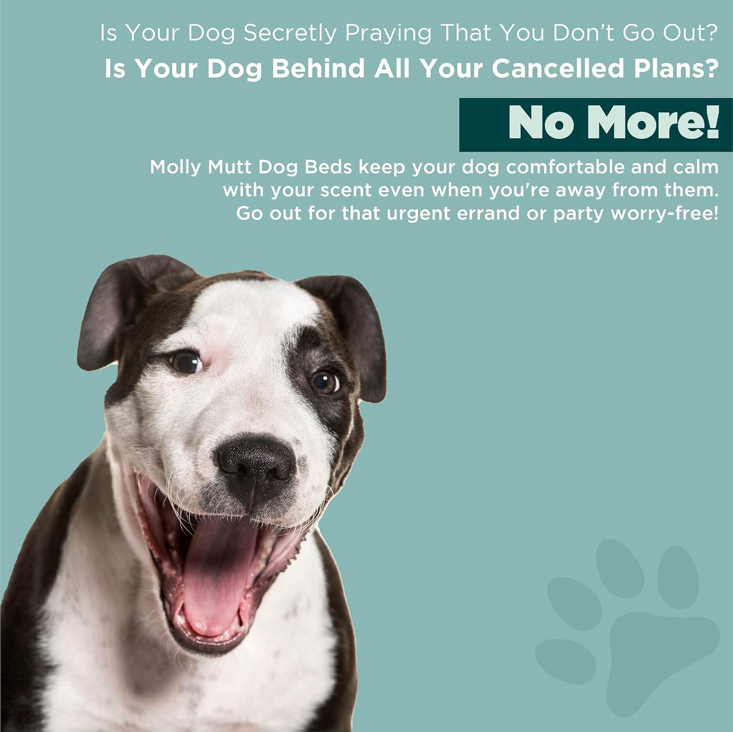 Molly Mutt Indoor/Outdoor Dog Bed Duvet Cover - Durable & Washable - Gorgeous Beasts, Medium/Large : Pet Supplies
