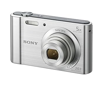 Amazon.com : Sony (DSCW800) 20.1 MP Digital Camera (Silver